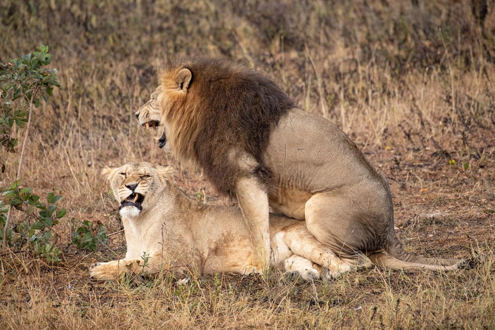 Photograph by Михаил Колесников