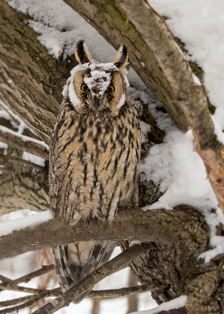 Photograph by Светлана Барабанщикова