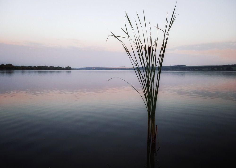 Photograph by Людмила Мельтишинова