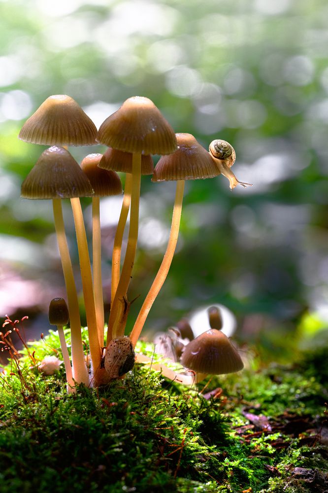 Фотография автора Татьяна Гореславец