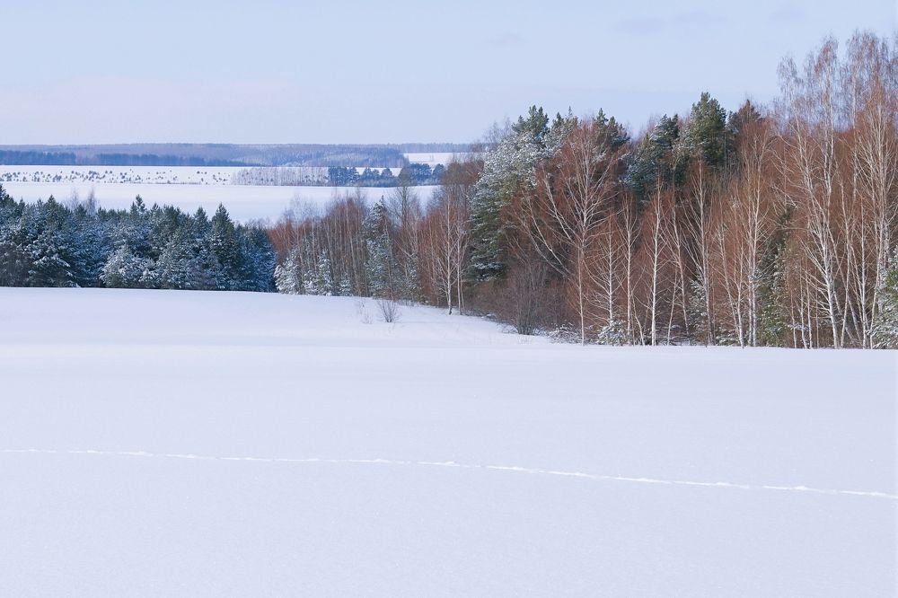 Photograph by Марина Слепова