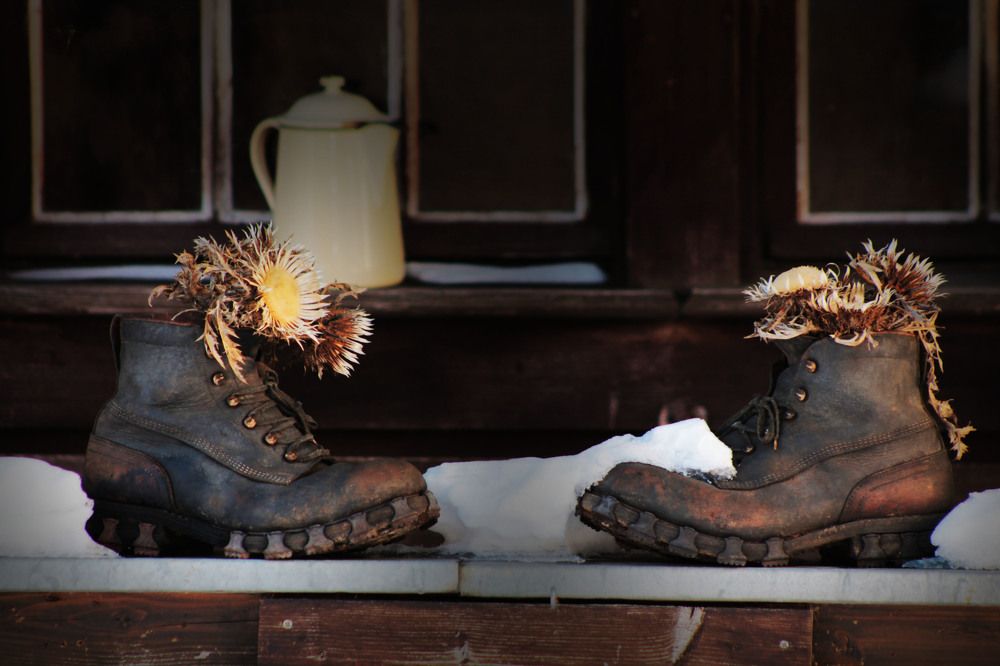 Photograph by Диана Ульянцева