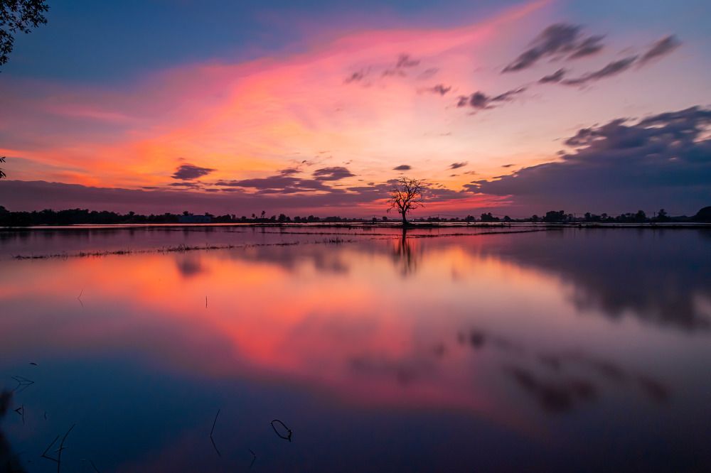 Фотография автора Andy Nguyen