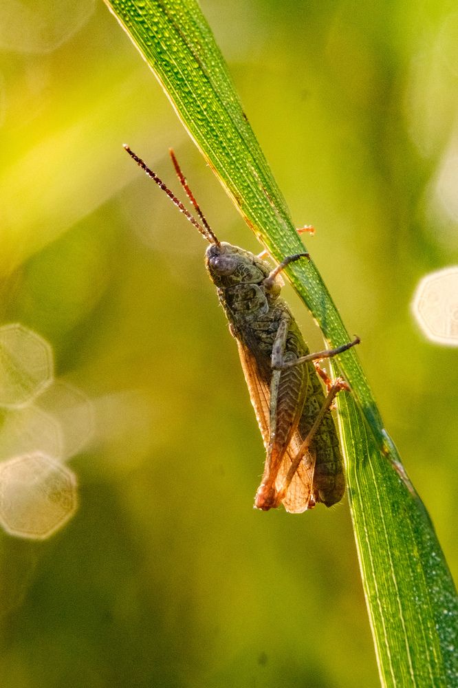 Photograph by Сергей Морозов