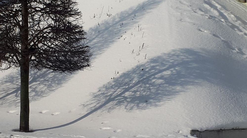 Фотография автора Alena Makushina