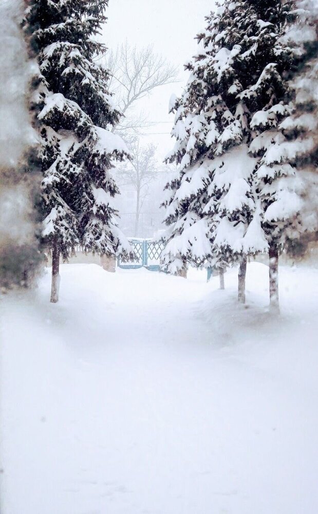 Photograph by Татьяна Ермолаева