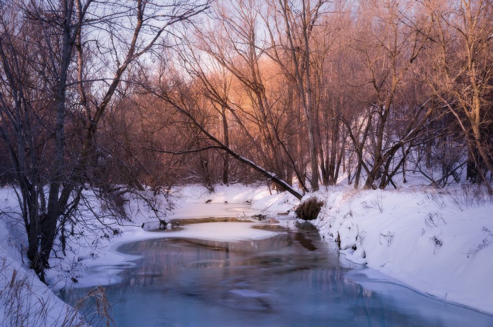 Фотография автора Rodnev Vadim