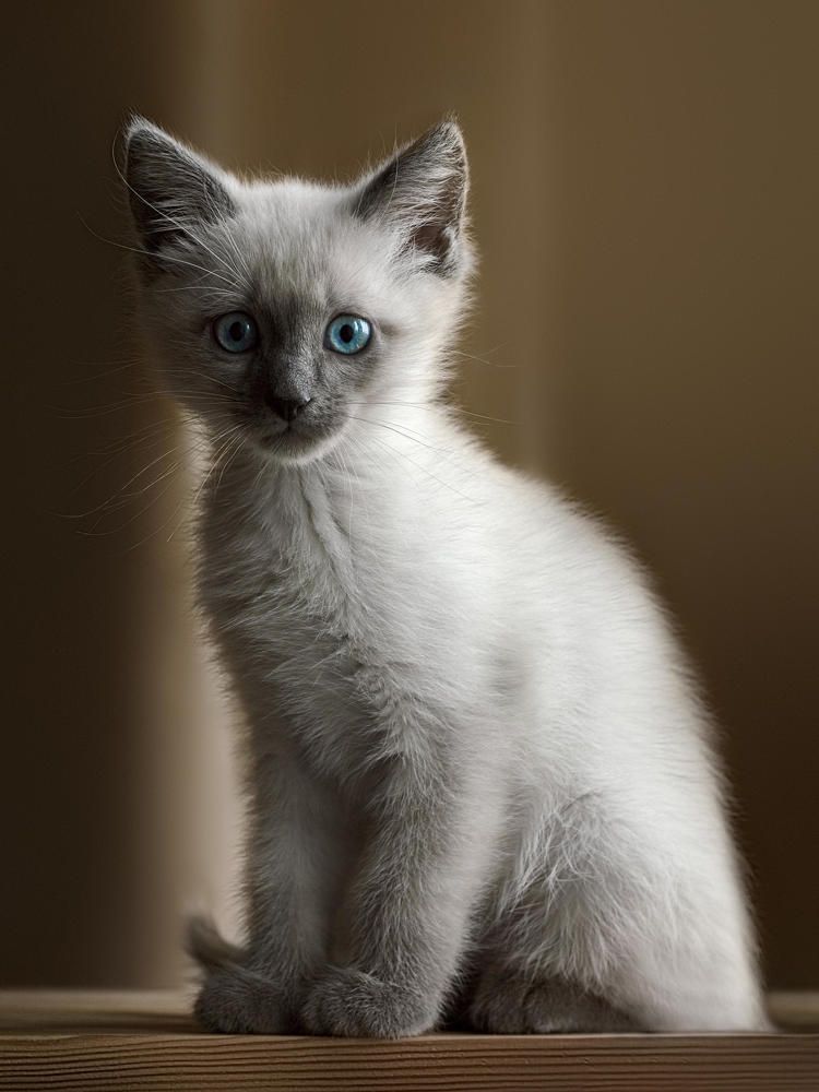 Photograph by Полина Хрол