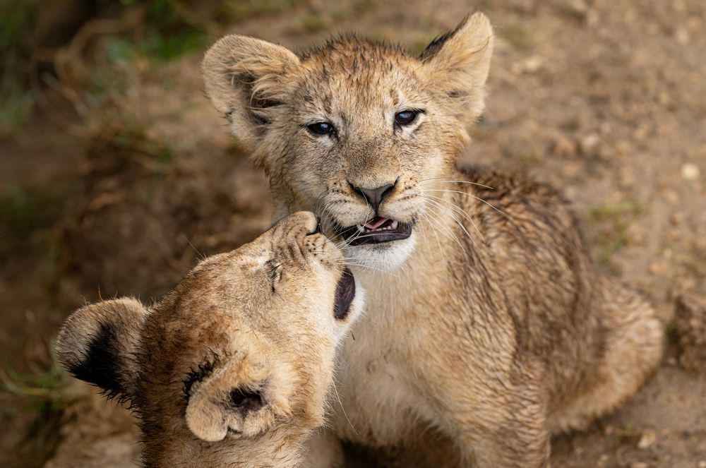 Photograph by Михаил Колесников