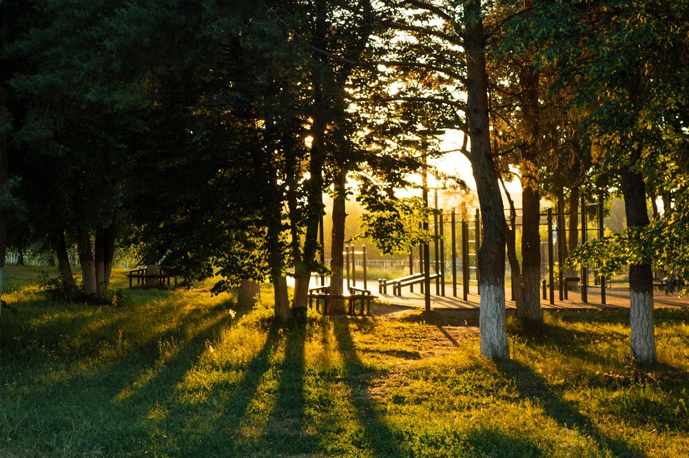 Photograph by Елена Квасова