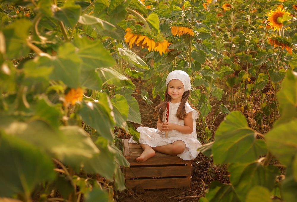 Фотография автора Надежда Саблина