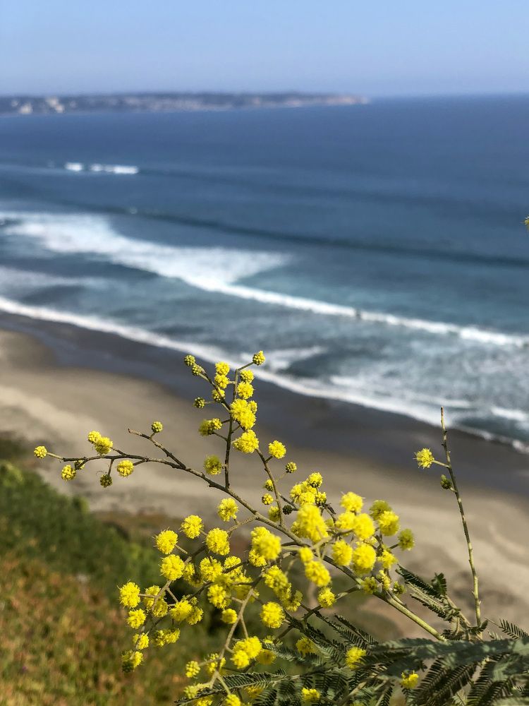 Photograph by maria angelica jaramillo