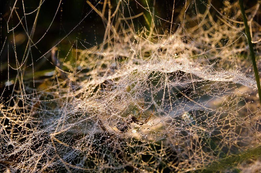 Photograph by Сергей Морозов