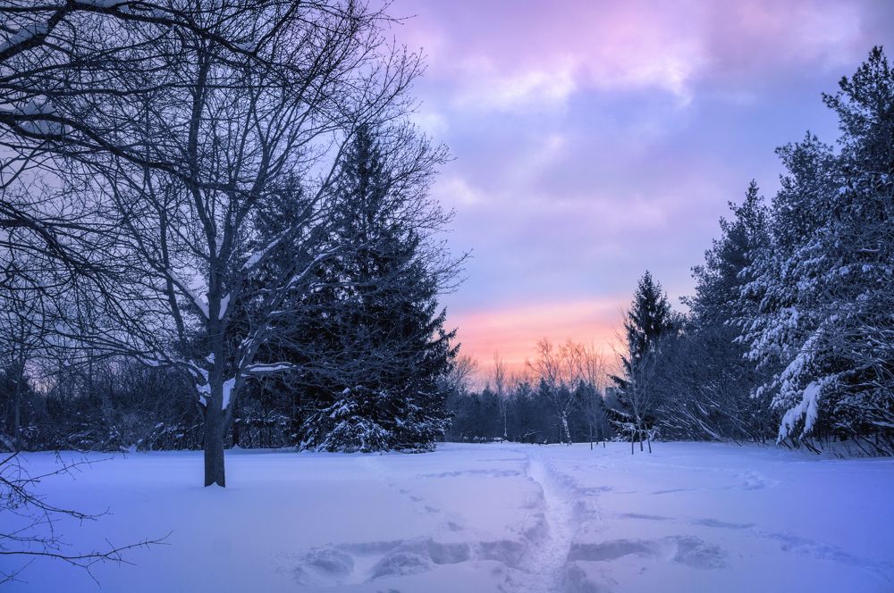 Фотография автора Rodnev Vadim