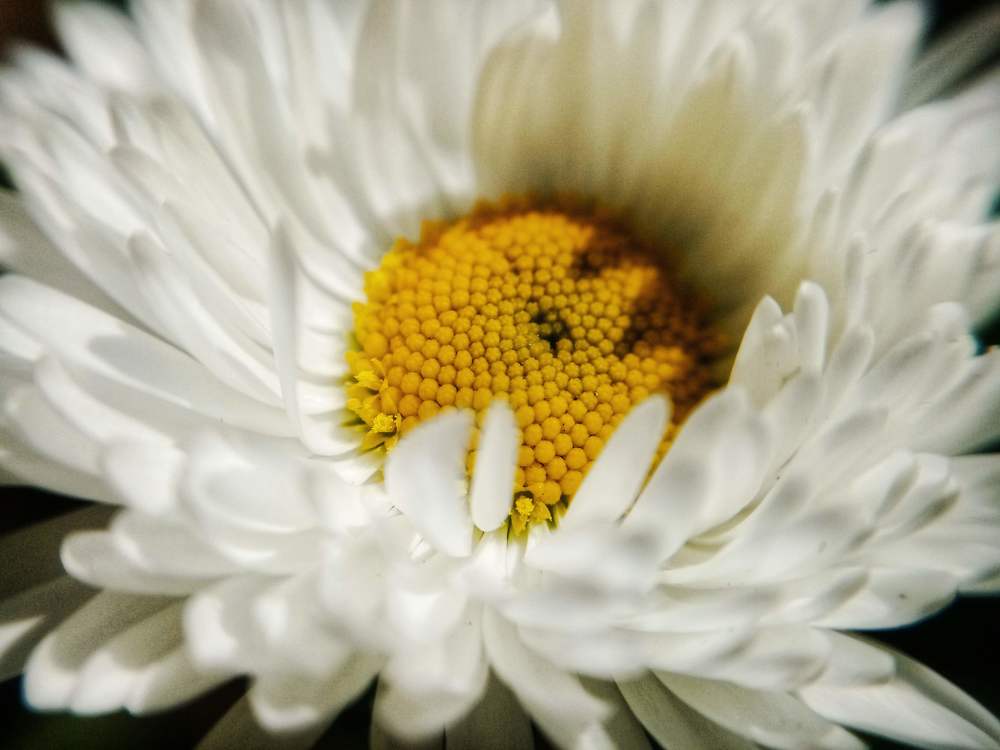 Photograph by Veronica Kravchonok