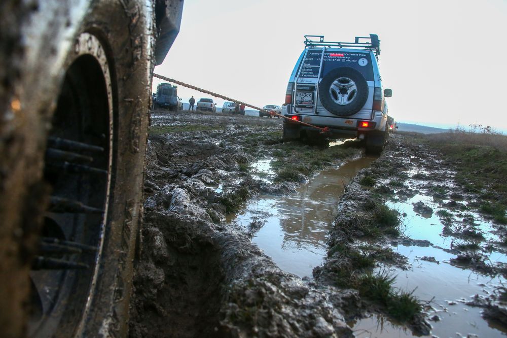 Photograph by Ксения