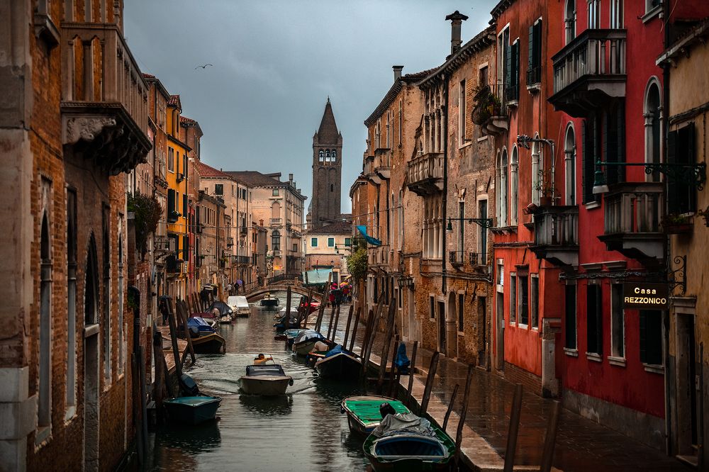 Photograph by Alaa Seif Eddine