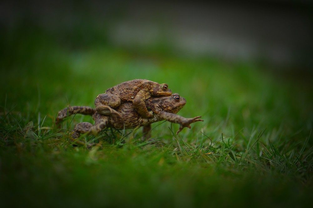 Photograph by Natalia Novkis