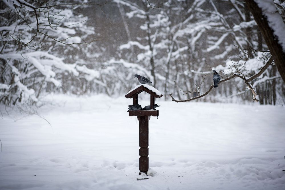 Photograph by Екатерина Часова