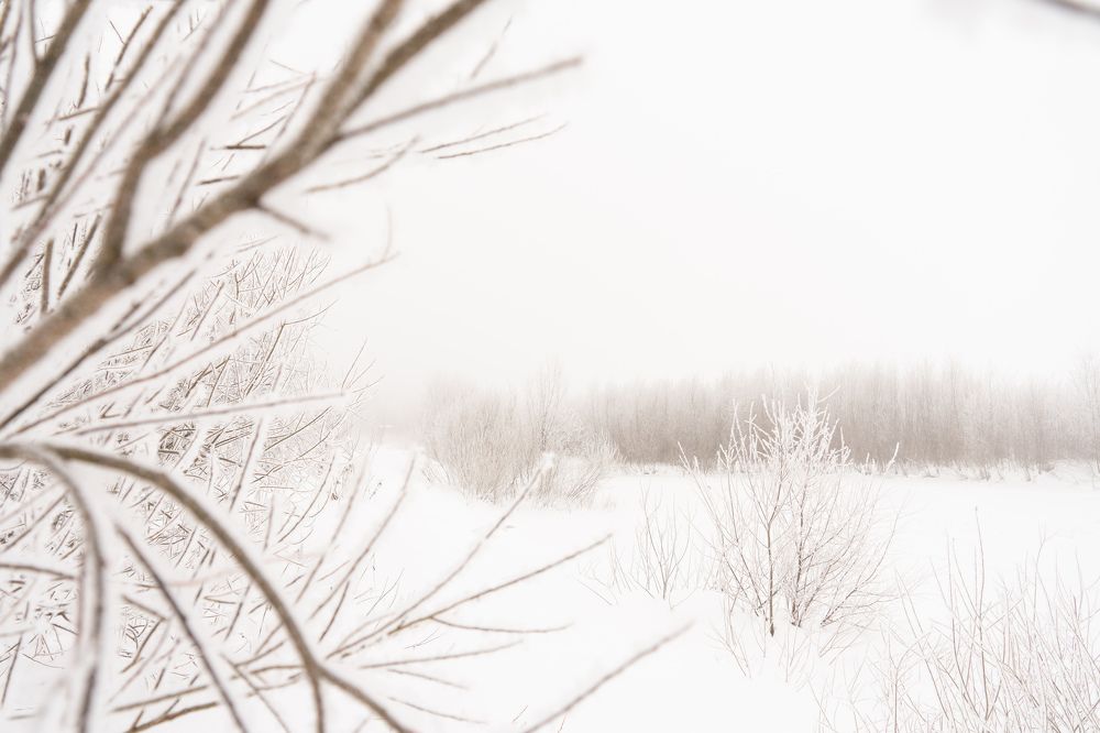 Photograph by Елизавета Фирстова