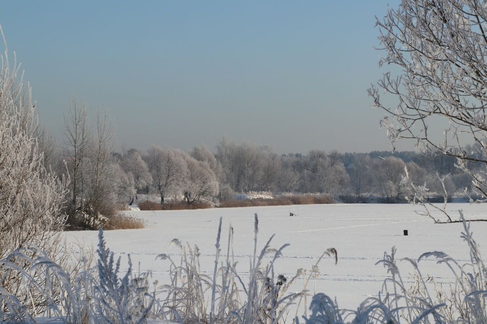 Photograph by Светлана Богомолова