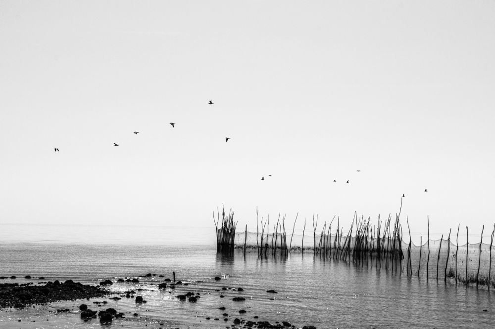 Photograph by Mohammad hasan Raziabadi