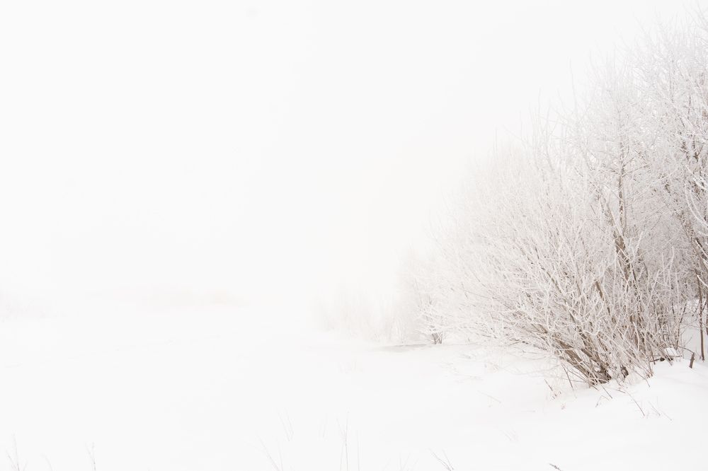 Photograph by Елизавета Фирстова