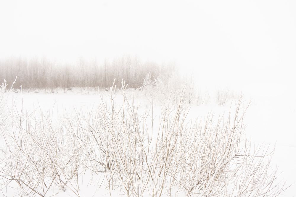 Photograph by Елизавета Фирстова