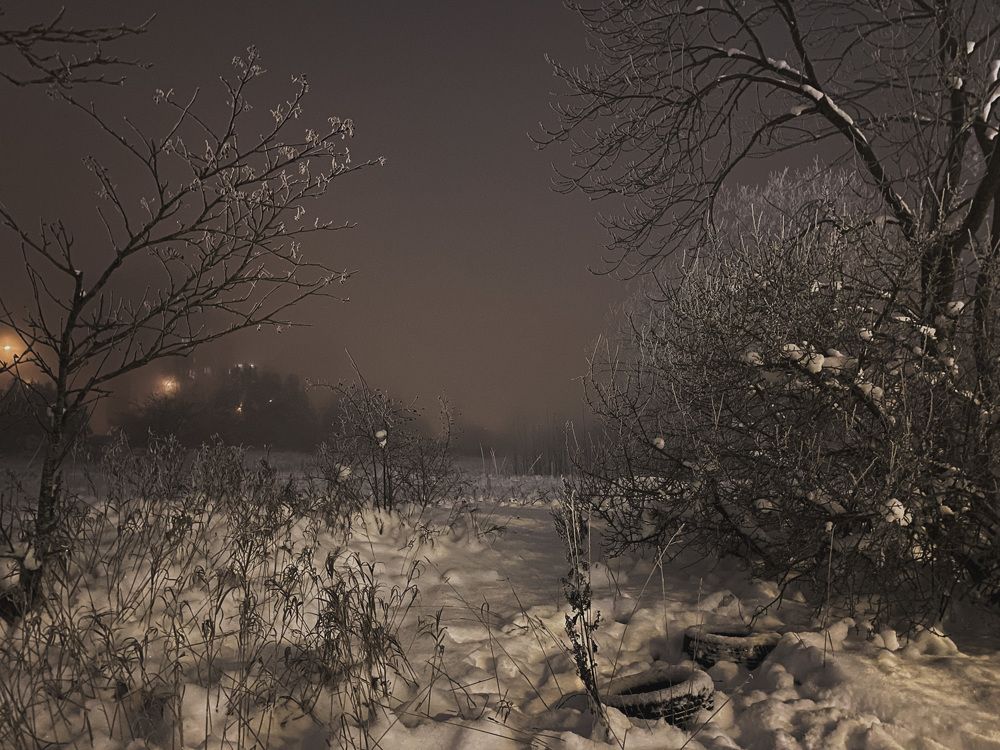 Photograph by Елизавета