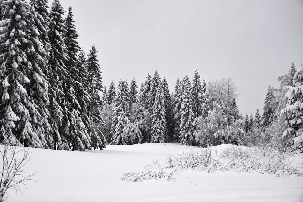 Фотография автора Anna NovaLova