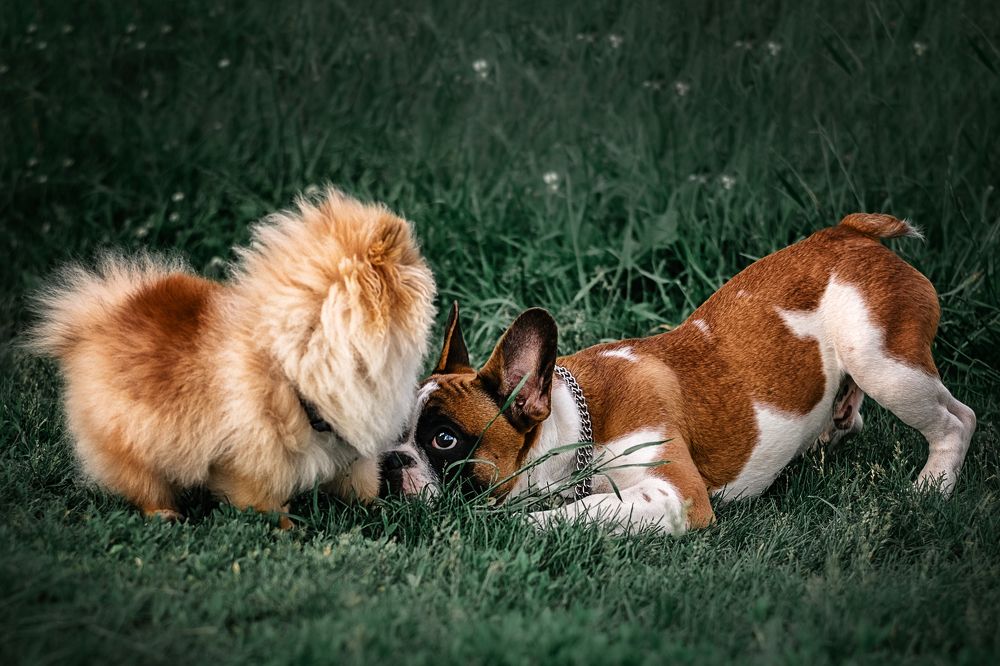 Photograph by Сивенок Елена