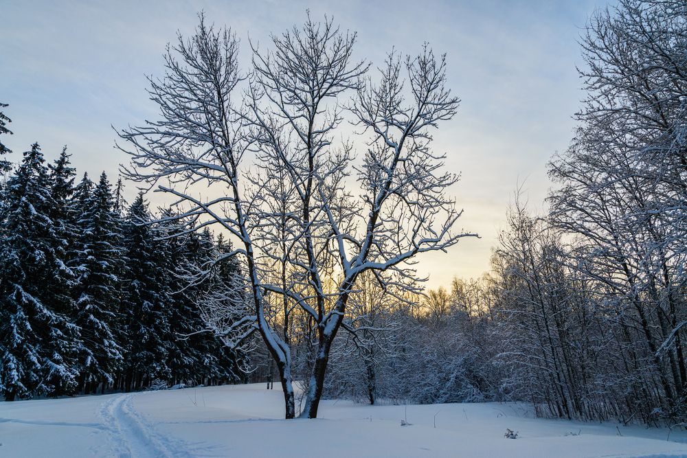 Photograph by Максим Мицун