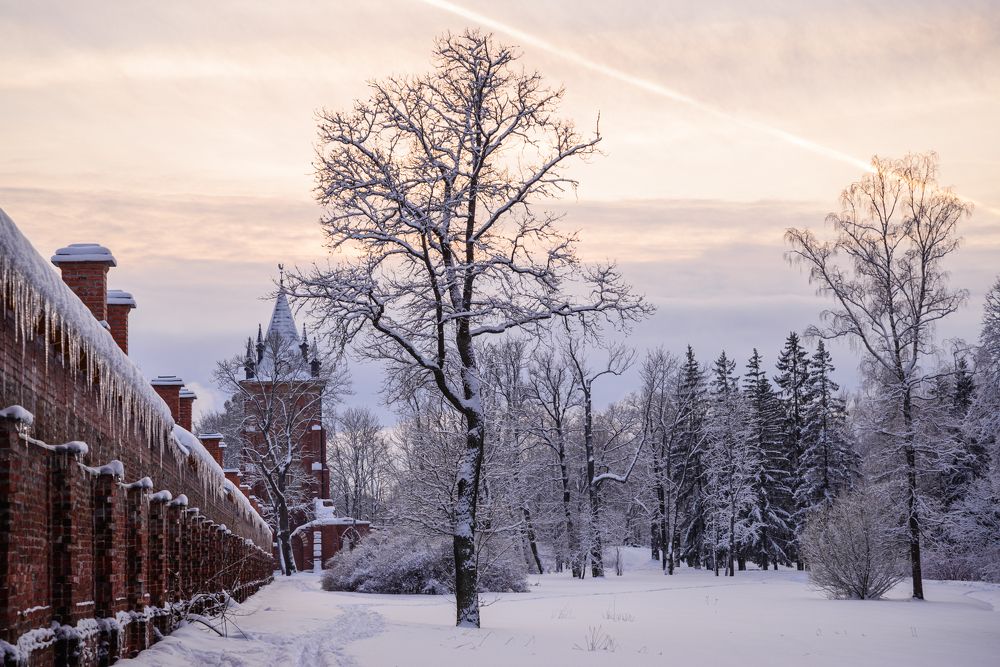 Photograph by Максим Мицун