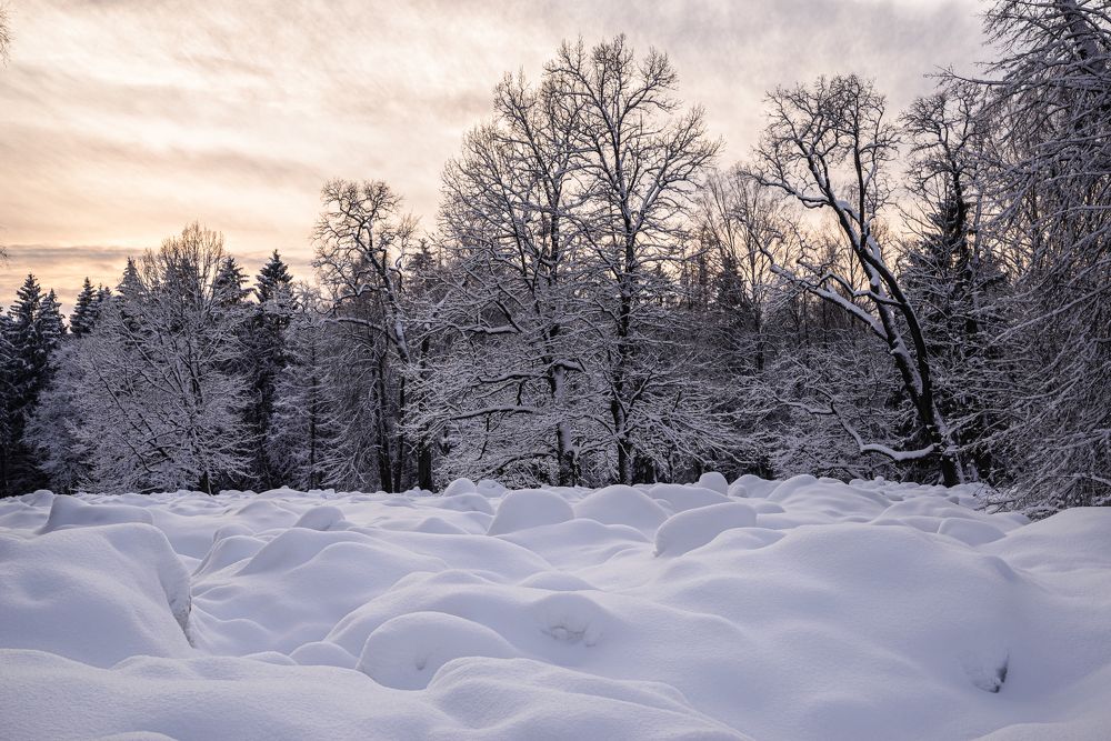 Photograph by Максим Мицун