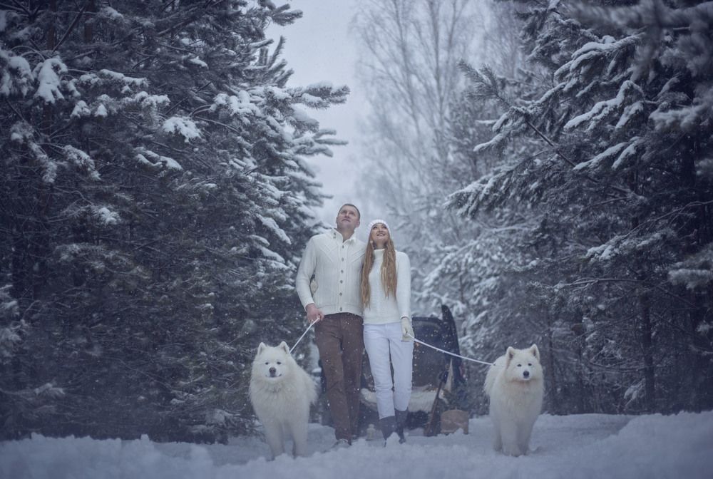 Зимняя сказка