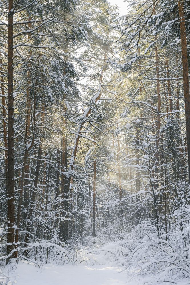 Photograph by Герман Корнеев