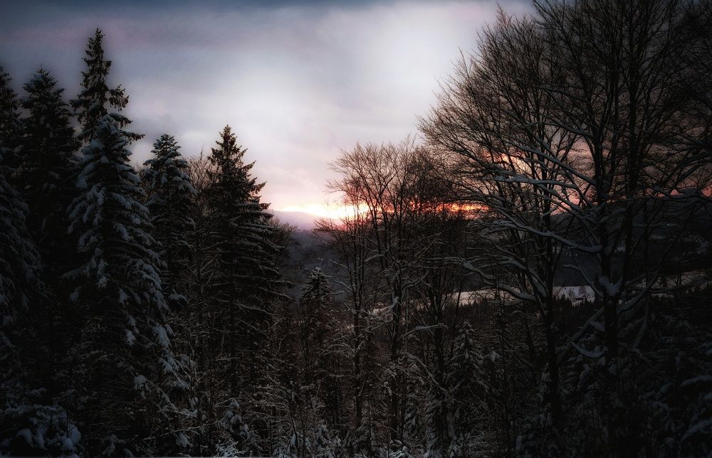 Photograph by Вячеслав Збінський