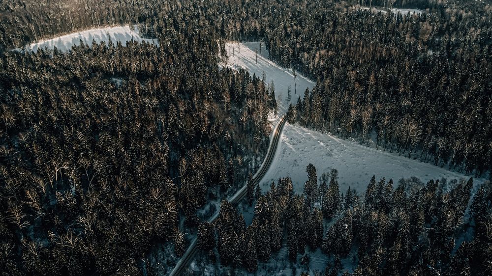 Photograph by Кононенко Владимир