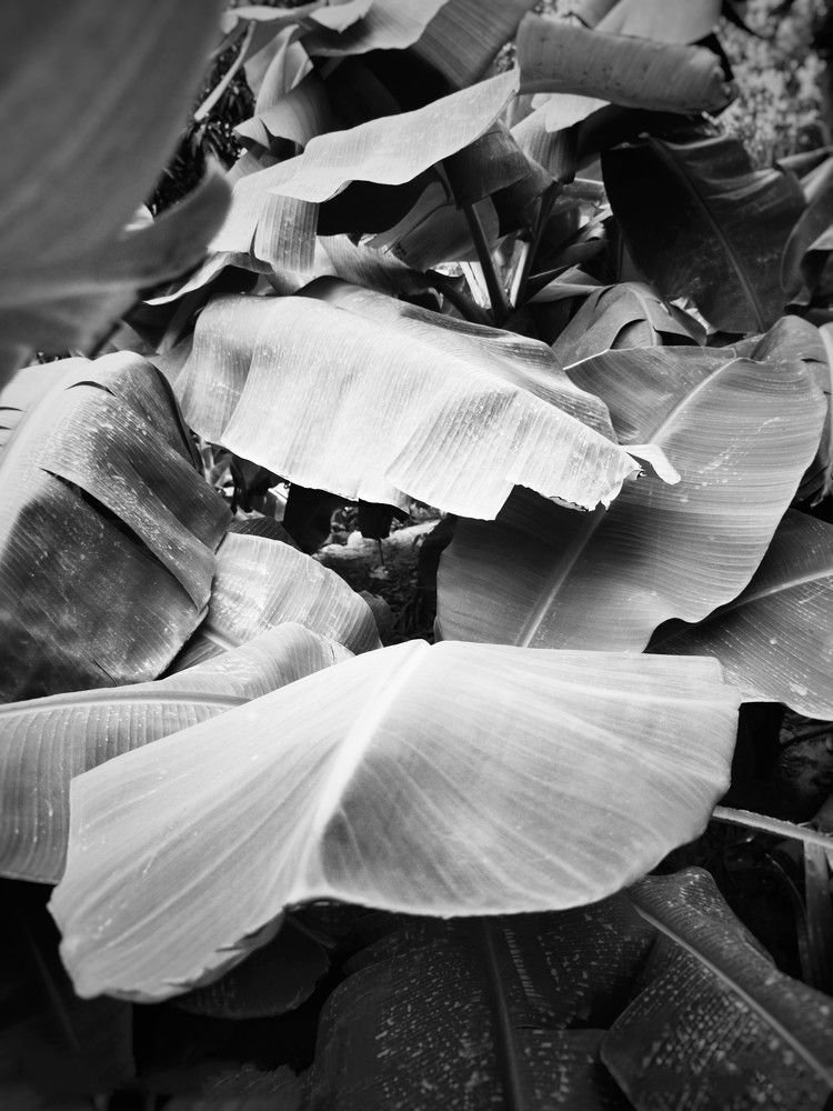 Photograph by Mohammed Aref Saleh Alrbaki