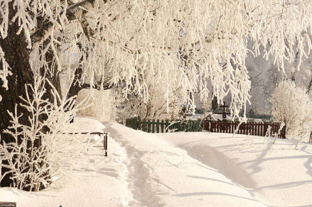 Photograph by Елизавета Фирстова