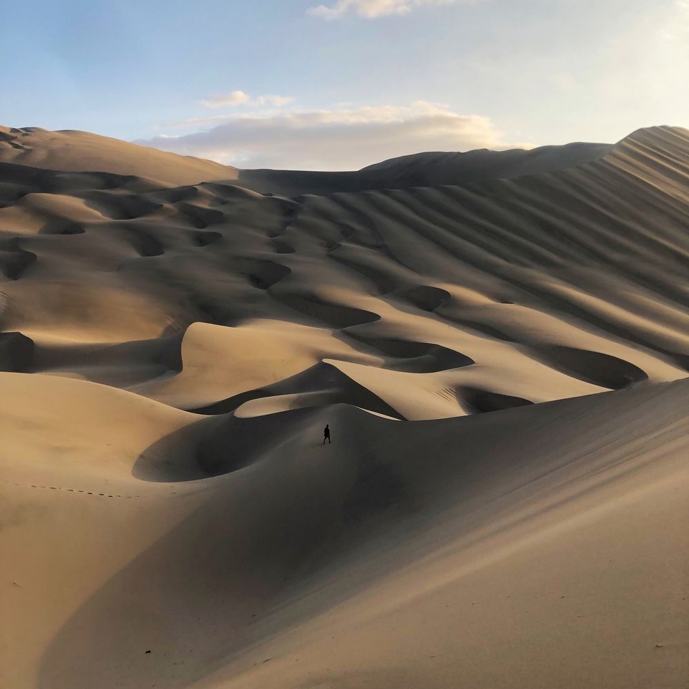 Photograph by François Murillo