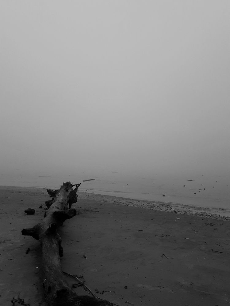 Photograph by Ирина Кошлюнова