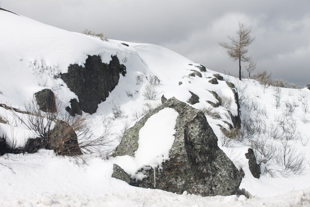 Photograph by Ferreira Francisco