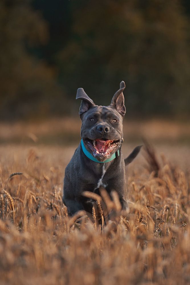 Photograph by Оксана Сироштан