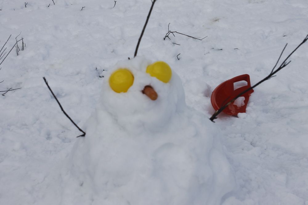 Photograph by Ferreira Francisco