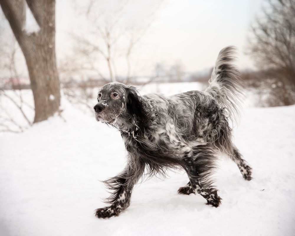 Photograph by Оксана Владимировна