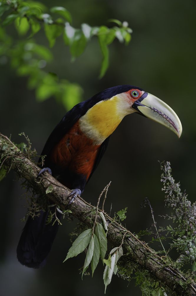 Photograph by Paulo Guerra