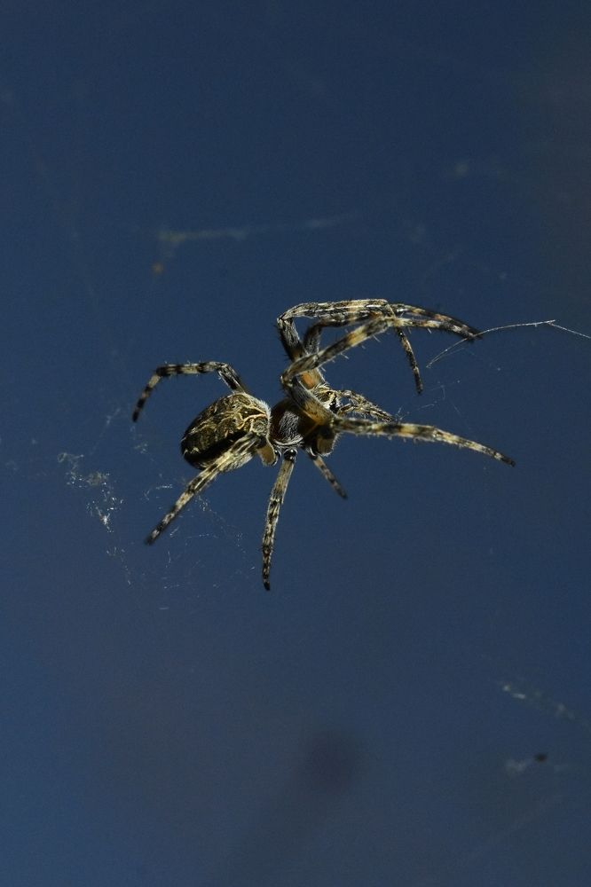 Photograph by François Murillo