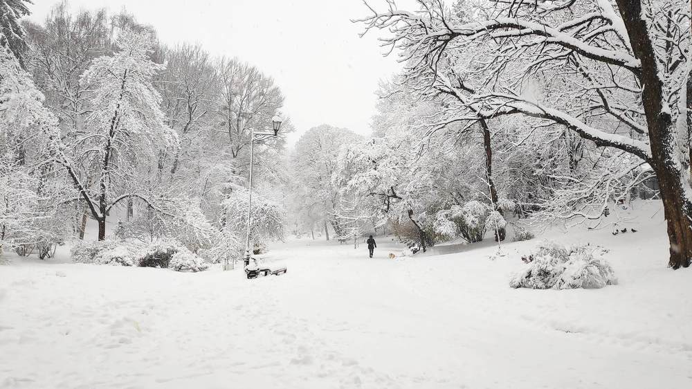 Фотография автора Toma Bervetsky