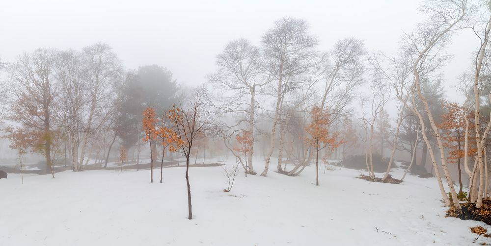 Photograph by Massimo Tamajo